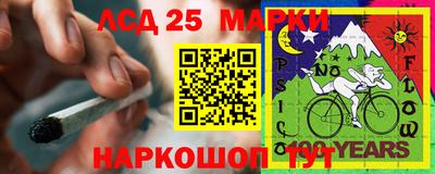 PSILOCYBIN Пугачёв