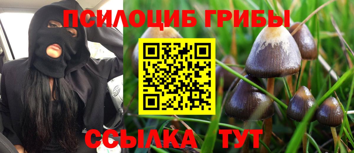 Псилоцибиновые грибы мицелий Анжеро-Судженск
